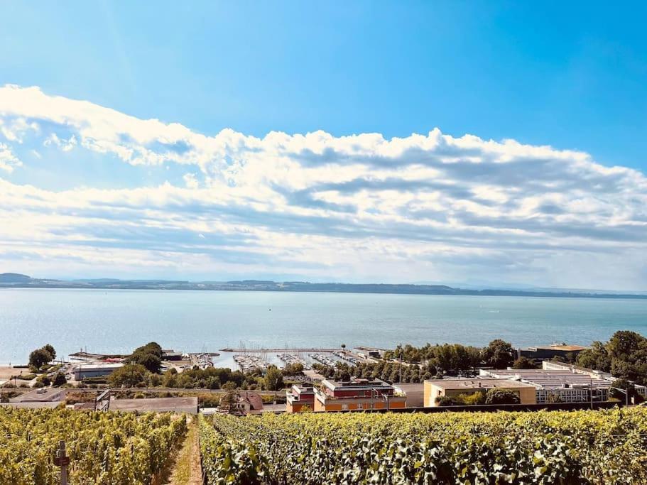 Charmant Appartement De Vacances Alta Ripa Hauterive  Eksteriør bilde