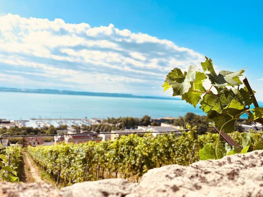 Charmant Appartement De Vacances Alta Ripa Hauterive  Eksteriør bilde